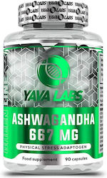 Yava Labs Ashwagandha 667mg 90 Capsule