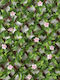 Panou Sintetic de Foliage 2x1m