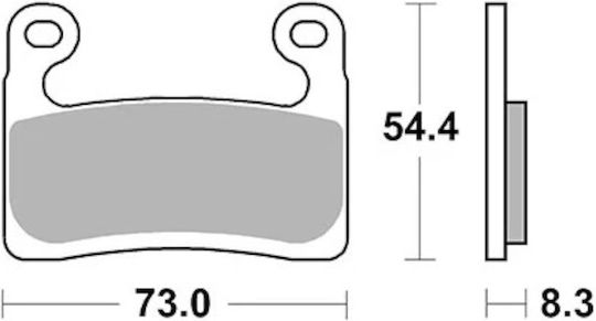 Artrax Set of Metallic Motorcycle Brake Pads for BMW R 1250cc Gs 2019 Manufactured in Taiwan