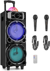 Fenton Karaoke Speaker With Wired Microphones Live 290 Fenton Karaoke Speaker With Wired Microphones Live 290