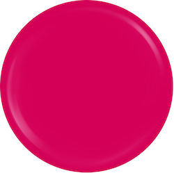 Sensopro Milano Expert Line UV Farbgel Oscar Ro...