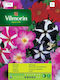 Petunia Small Mix Seeds Vilmor