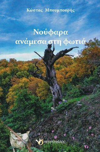 Νούφαρα Ανάμεσα Φωτιά Νούφαρα Ανάμεσα Φωτιά