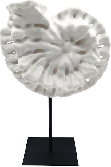 InTheBox Διακοσμητικό Κοχύλι Πολυρητίνης 25x12x41cm InTheBox Διακοσμητικό Κοχύλι Πολυρητίνης 25x12x41cm