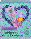 Natura Siberica Blueberry Skin Care Set for Moisturizing & Facial Cleaning 2 Pieces