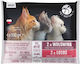 Pet Republic Wet Cat Food for Adult Cats in Pouches with Beef Meat Salmon and Fish Grain Free 36x100gr