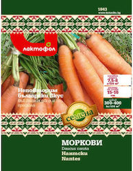 Carrot Nantes Seeds Bulgarian Seeds