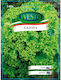 Ivesto Lollo Bionda Lettuce Seeds