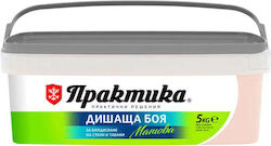 Стайна Пластмасова Боя Цвят Магнолия 5 Кг Praktika