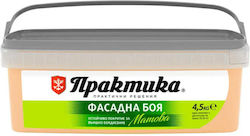 Vopsea Pentru Fațade Mandarin 4.5 Kg Praktika