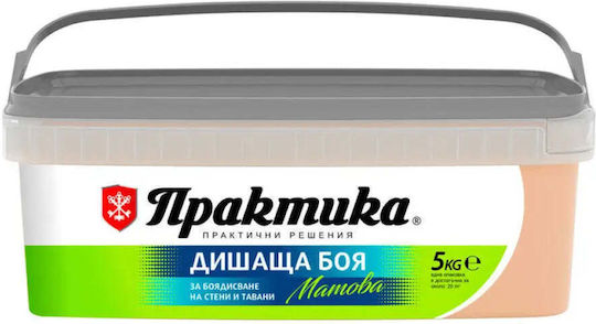 Interior Paint Color Nectar 5 Kg Praktika