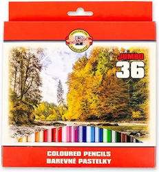 Omega 3385 Jumbo Crayons 36 Colors
