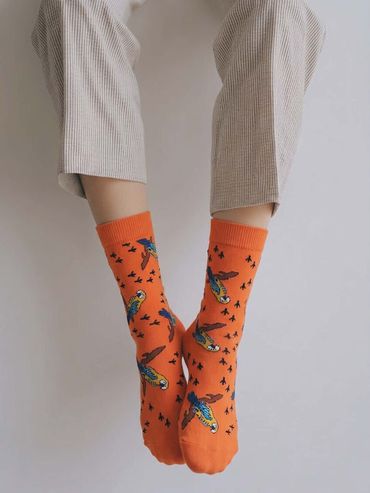 Join Women’s Orange Socks