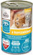 Frendi Υγρή Τροφή για Ανήλικες Γάτες σε Κονσέρβα με Κοτόπουλο και Κρέας 10x400gr