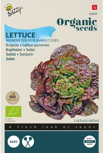 Biologische Samen Kopfsalat “merveille Des 4 Saisons” – 1g Samen