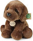 Rappa Plush Puppy for Newborns 21 cm