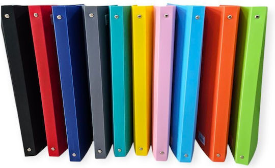 Dosar PP 17x25 2 Inele Diverse Culori