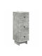 Metal Storage Cabinet L33xW34.5xH90cm