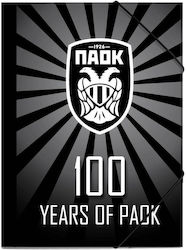 File Folder Rubber Band Cardboard 25x35cm Paok 000130256