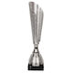 Biemans Cupa Argintie Premii Sportive