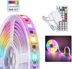 Set Speed Led Led Strip Rgb+cct With Controller 24w 230v Ip20 5247 Set Speed Led Led Strip Rgb+cct With Controller 24w 230v Ip20 5247