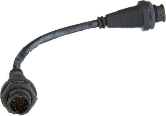 Cablu De Conexiune Raynet Masculin Raynet Masculin 100mm