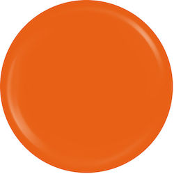 Sensopro Milano Expert Line UV Farbgel Sunset B...