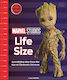 Marvel Mcu Life Size Dk Dk Children