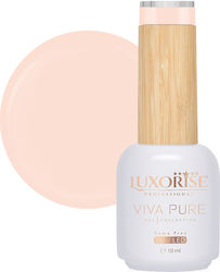 Hema Free Semi-permanent Nail Polish Viva Pure ...