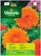 Vilmorin Samen Ringelblume