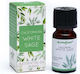 Therapeutic Blend of Essential Oils Sage White Sage Essential Oil Blend 10ml