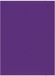 Dosar Laminat Din Carton Elastic 300gsm Office Products Violet Dosar Laminat Din Carton Elastic 300gsm Office Products Violet