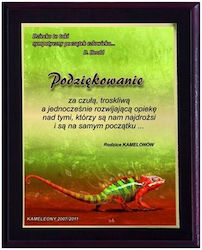 Plastic Diploma Color Touch Laminate