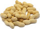 Peanut Redskin Unsalted 500g