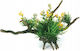 Aqua Natura Plant Aquarium Decoration Root Composition Plastic 12-31 Cm Various Types Plants