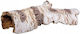 Terra Natura Terrarium Decoration Birch Log Hideout 25cm