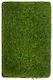 Biokarpet Sole Grass 50mm-400x800