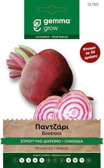 Παντζαρι Στρογγυλο Διχρωμο Σποροι Chioggia Φακελος Gemma