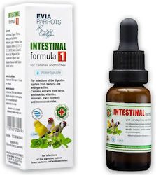 Evia Parrots Darmformel 1 – Schutz Für Singvögel Gastrointestinal 20ml Evia Parrots Darmformel 1 – Schutz Für Singvögel Gastrointestinal 20ml