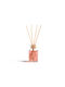 Diffuser Cinnamon 50ml/7x17cm