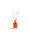 Diffuser Orange Cinnamon 50ml/7x17cm