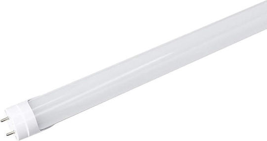 Lightplanet Bec LED 10W Tip Fluorescent și Formă T8 Alb Cald
