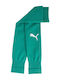 PUMA Team Football Socks Green 1 Pair