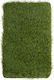 Biokarpet Sole Grass Eco 38mm-400x2500