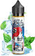 Best Friends Shot de Aromă Ben 20ml 1 Bucată Ben