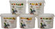 Evia Parrots Large Natural Fruit Formula 2.5kg
