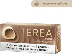 Terea Bej
