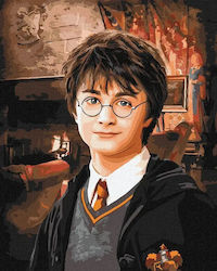 Painting By Numbers Harry Potter 40x50cm
