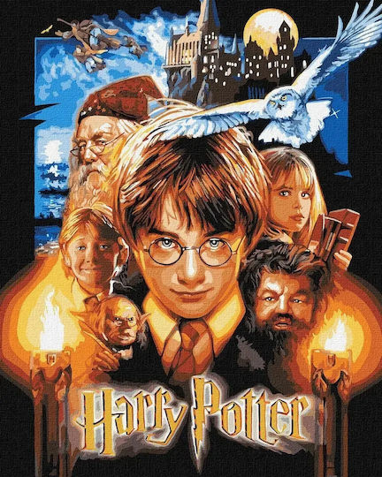 Painting By Numbers Harry Potter Metal 40x50cm