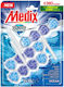 Medix Domestos Toilettenblock